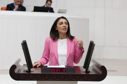 CHP’li Altaca Kayışoğlu’ndan TBMM'de sert eleştiri