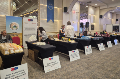 Kooperatiflere yeni hibe destekler geliyor... 'Enhancer Pro' başlıyor