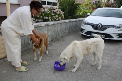 Edirne'de 200 bin TL borçla boğuşan KEHAY-KO’dan yardım çağrısı