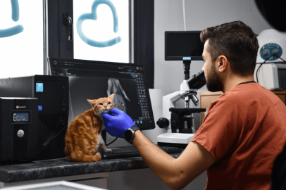 Balıkesir Büyükşehir’den can dostlara tam destek